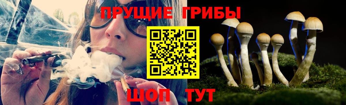 Псилоцибиновые грибы прущие грибы  Вход с VPN  магазин  наркотиков  Озёрск 